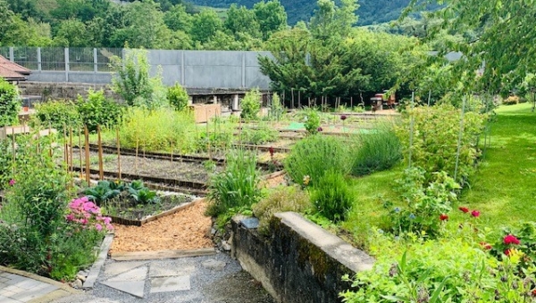 La Médiathèque Valais Saint-Maurice en sortie au Potager Agaunois